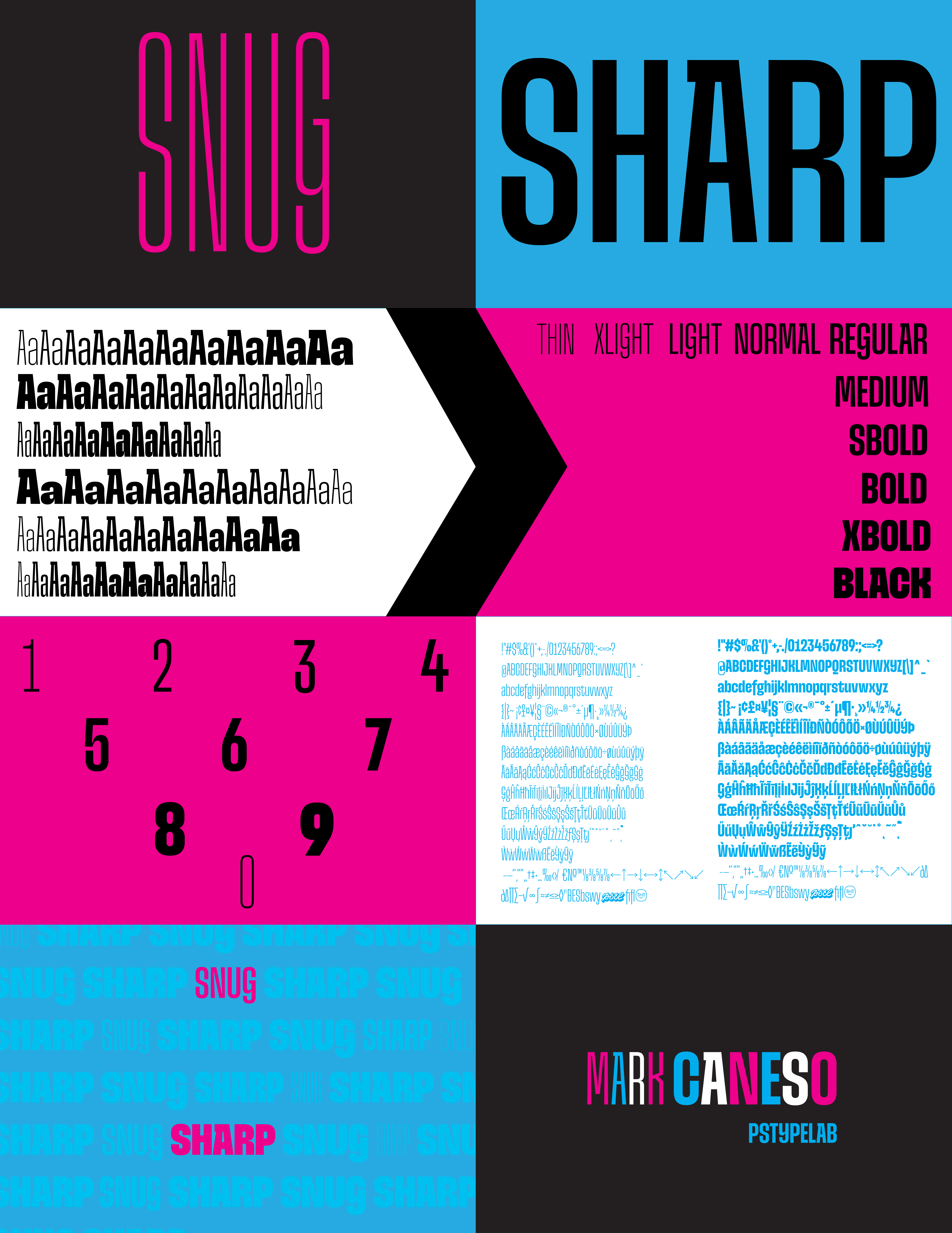Type Specimen Post 2